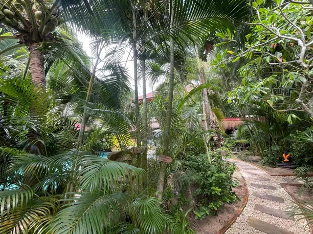 Jade cottages, photo 5