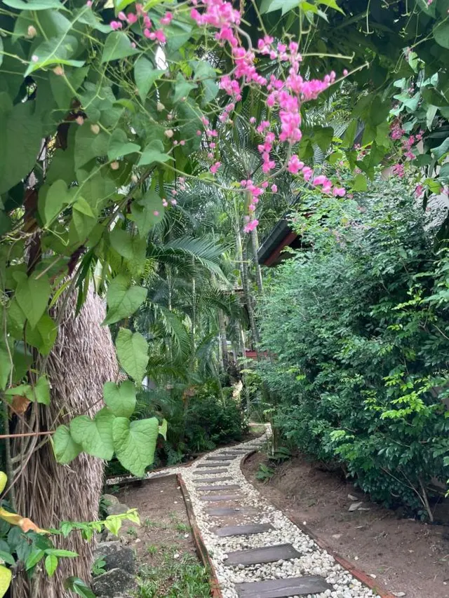 Jade cottages, photo 6
