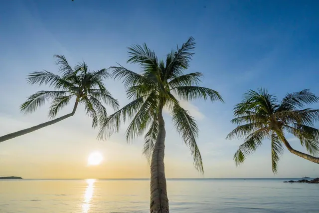 Samui Paradise Chaweng Beach Resort, photo 6
