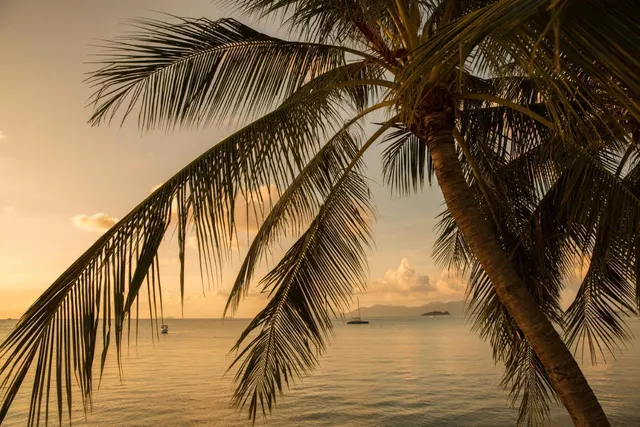 Tembo Beach Club & Resort, photo 5