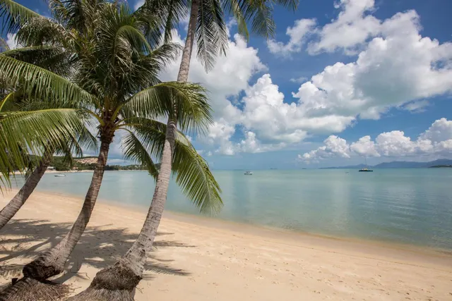 Tembo Beach Club & Resort, photo 6