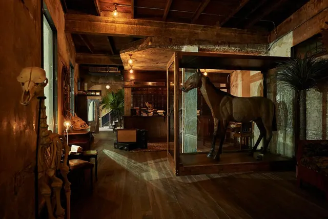 The Mustang Blu, photo 5